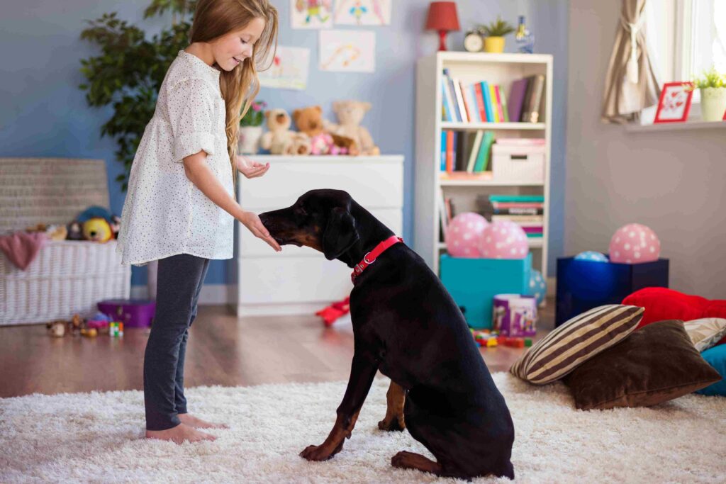 How Dog training Dubai Helps with Aggressive Behavior