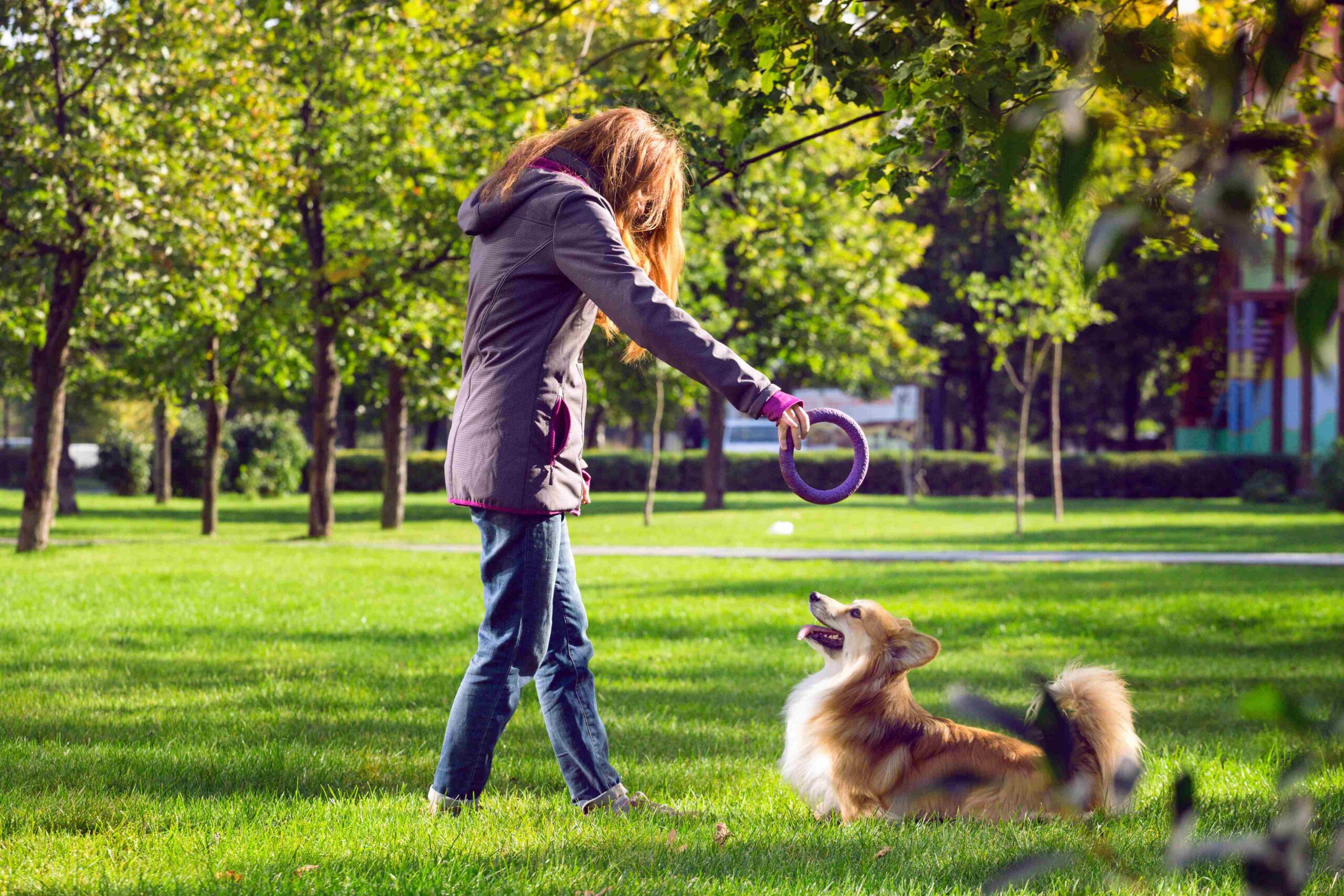How Dog training Dubai Helps with Aggressive Behavior